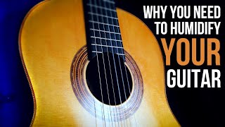 GUITAR TIP Why you NEED to humidify your guitar [upl. by Ario]