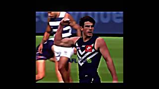 Andrew Brayshaw edit shorts footyedit afl [upl. by Thgirw]