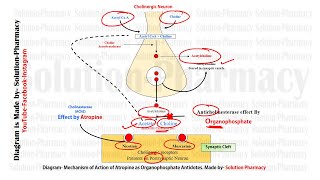 GPAT Exclusive Antidote for Organophosphorus Poisoning  Atropine Mechanism of Action as Antidotes [upl. by Nylacaj137]