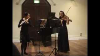 Hoffmeister Duo Concertante in G major for flute amp viola 1 Allegro [upl. by Atin]