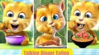 Talking ginger  night fun  happy mood  fun  talkingcat  talkingtom [upl. by Amitaf]