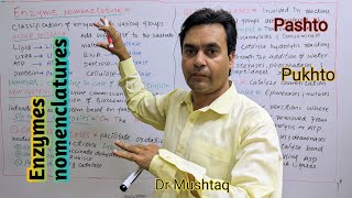 Enzymes nomenclatures  Biology Class 11  Dr Mushtaq Pashto Lectures [upl. by Adora]