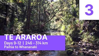 S01E03 Te Araroa  Days 912 Paihia to Whananaki [upl. by Vernon395]