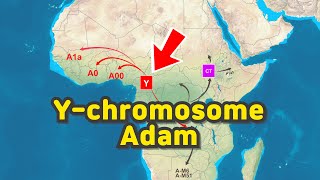 Migration path of Ychromosome Adam [upl. by Lozar819]