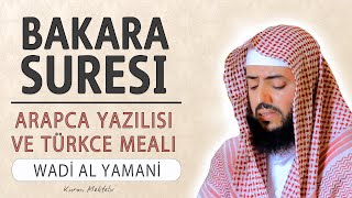 Bakara suresi anlamı dinle Wadi al Yamani Bakara suresi arapça yazılışı okunuşu ve meali [upl. by Yekram67]