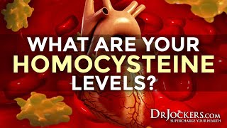 What are Your Homocysteine Levels [upl. by Ladew]