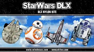 Star Wars Easy Flyer Kite Assortment [upl. by Griffy]