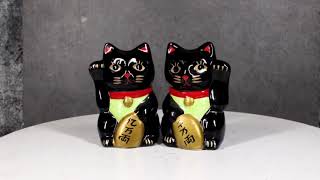 Black Lucky Fortune Japanese Maneki Neko Cats Ceramic Salt Pepper Shakers Set [upl. by Enellek]