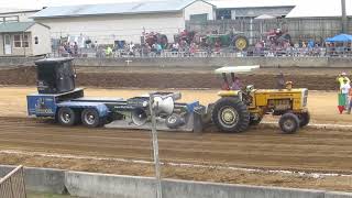 15000 lb Farm Stock  Rockingham County Fair VA 2024 [upl. by Oznerol]