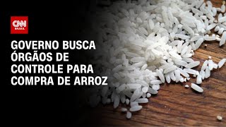 Governo busca órgãos de controle para compra de arroz  BASTIDORES CNN [upl. by Calisa]