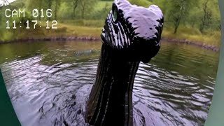 Top 5 MOST TERRIFYING Loch Ness Monster Encounters 2024 [upl. by Ytsirt]