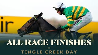 ALL RACE FINISHES  BETFAIR TINGLE CREEK DAY AT SANDOWN PARK [upl. by Nahn]