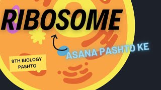 Ribosome  Class 9th Biology In Pashto  Basharat Ali Lectures [upl. by Hirsh]