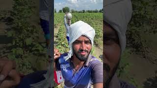 Drone tho sprey 🌱 farming agriculture technology lifestyle vlog [upl. by Nofpets]