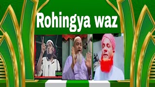 rohingya new waz [upl. by Ajet819]