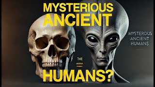 Five Mysterious Ancient Human Species That Wont Appear in Textbooks [upl. by Aihsela144]