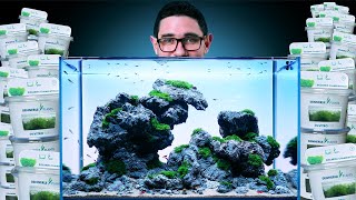 I Only Used MOSS For This Planted Aquarium  Magnificent Minimalistic 60P Aquascape [upl. by Neelloc]