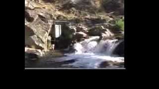 Australian lowhead microhydro [upl. by Bamby]