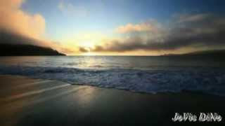 In Moment Like This © Video Clips by JoVie DiNo Jansen [upl. by Josie272]