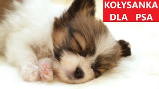 KOŁYSANKA DLA PSA  Muzyka Relaksacyjna Dla Psów  GŁĘBOKI SEN 💤 [upl. by Estel662]