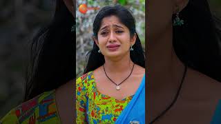 Will shourya help Rama Padamati Sandhya Ragam shorts Mon Sat 8PM Zee Telugu [upl. by Chic]