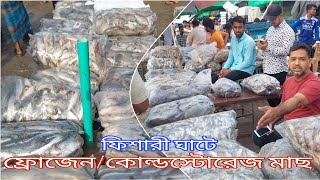 ফিশারী ঘাটে কোল্ডস্টোরেজ মাছ দাম জানুন।Cold StorageFrozen Sea FishFishery GhatChattogram [upl. by Kwei]