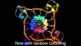 The parallel DNA Gquadruplex [upl. by Godric]