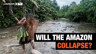 Amazon Deforestation The Next Climate Tipping Point [upl. by Roseanna]