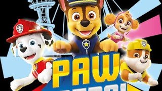 Paw Patrol in hindi  Paw Patrol mighty pups  Youtube shorts [upl. by Xenos]