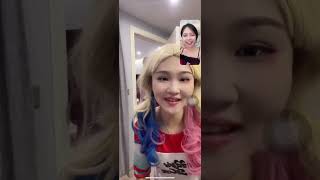 Harley Quinn Mistakenly Enters Video Chatting joker Harley Quinn joker [upl. by Modesta]