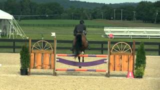 Horse Jumping Bridleless [upl. by Glendon515]