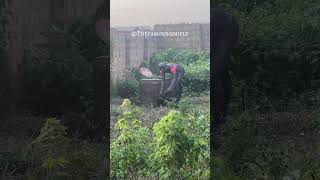 Spidy fetching water from the well funny comedy funnyvideos comedyvideo spiderman [upl. by Daza70]