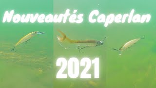 Je teste les nouveaux leurres CAPERLAN [upl. by Davenport916]