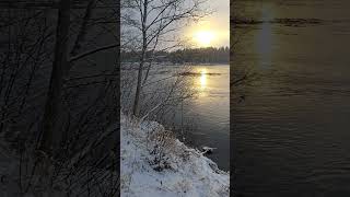 Vinter promenad ❄️🌨 fiske nature fishing norrland winter snowfall [upl. by Vanni]