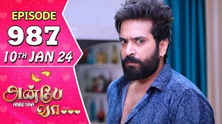 Anbe Vaa Serial  Episode 987  10th Jan 2024  Virat  Shree Gopika  Saregama TV Shows Tamil [upl. by Mufinella]