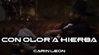 CARIN LEON  CON OLOR A HIERBA EN VIVO [upl. by Ettenor]