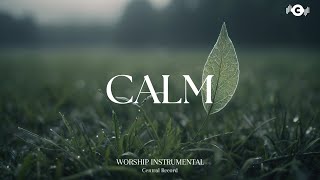 CALM  Soaking worship instrumental  Prayer and Devotional [upl. by Etnoek]