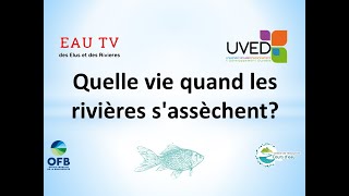 Quelle vie quand les rivières sassèchent [upl. by Elbas]