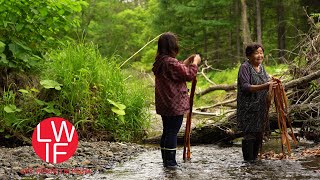 Making Cloth from Tree Bark with Ainu in Japan [upl. by Scevor]