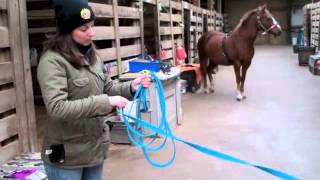 HORSE LUNGEING HOWTOs  How to Roll Up the Lunge Line [upl. by Rutan]