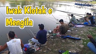 Gak nunggu lama mancing ikan klotak di kalimati kajang [upl. by Maurie]