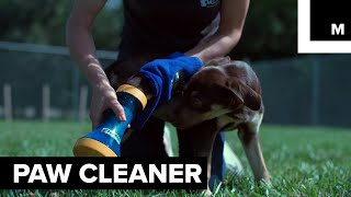 Dog Owners Will Love this Puppy Paw Cleaner [upl. by Leahciam]