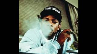 EazyE Interview  Being a Gangster Dr Dre and Snoop Dogg are Fakes [upl. by Aitnuahs]