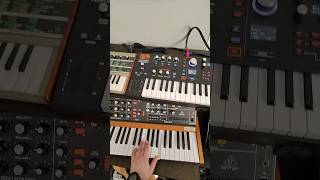 some synth arpeggiation polyd synthesizer analogsynth musician [upl. by Edina236]