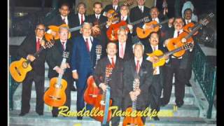 La Internacional Rondalla Tamaulipeca VOLVERÁS [upl. by Anicnarf]