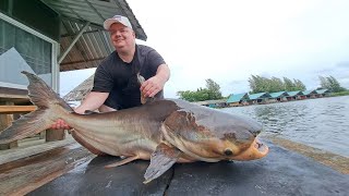 Mekong Catfish Fishing Thailand 2024 BKKGUY [upl. by Nemaj]