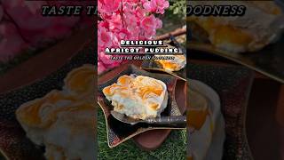 Brand New Dessert RecipeDelicious Apricot PuddingKhubani Ka MeethaApricot Delightshortsfood [upl. by Lynnette2]