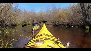 Kayaking in the Peconic River [upl. by Drofxer]