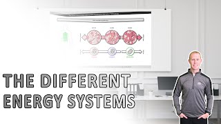 The different energy systems [upl. by Brubaker]