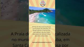 Qual dessas praias está localizada no estado de Santa Catarina [upl. by Woermer703]